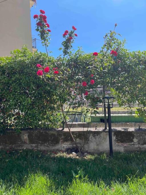 Casa Ale 5 Terre Guest House Con Giardino La Spezia Exterior photo